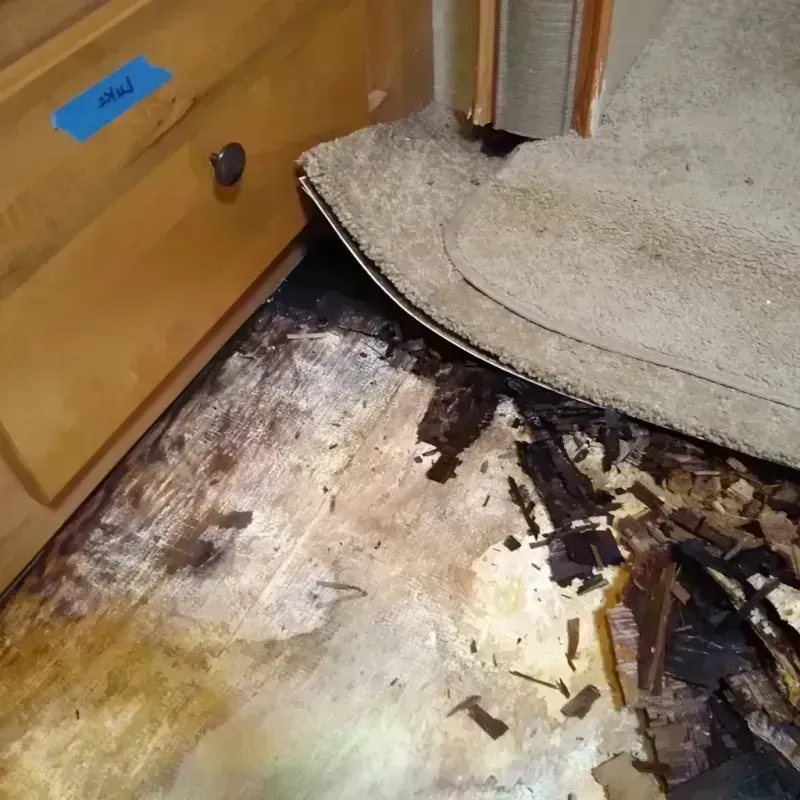 Wood Floor Water Damage in Purdy, WA